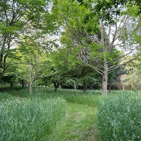 Chand'home - Rural Pensión