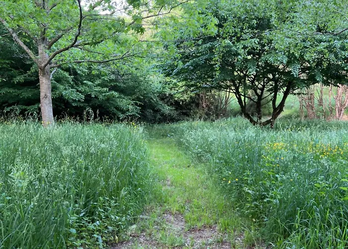 Chand'home - Rural 3* Montembœuf