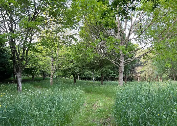 Chand'home - Rural Pensión